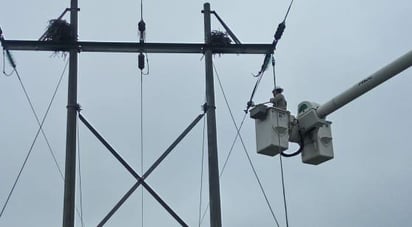 Sin agua Frontera y parte de Monclova