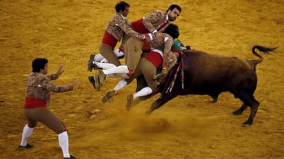 Trágica corrida deja doce forcados heridos en Portugal