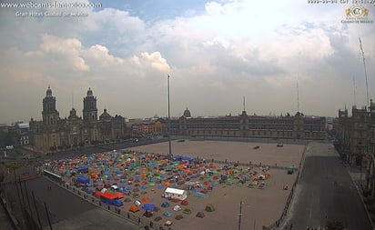 Crece plantón de Frenaaa en el Zócalo