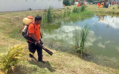 Reportan 141 casos y una muerte por dengue en Yucatán