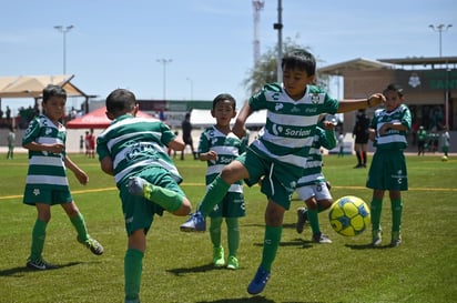 Reactiva Nadadores actividades  deportivas con clínicas guerreras