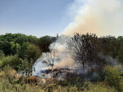 Espera Protección Civil se incrementan los incendios 