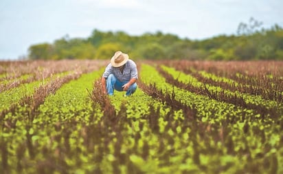 Campo, preso de una embestida por políticas públicas: CNA