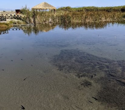 Se mantiene la controversia por el agua de la Saca Salada