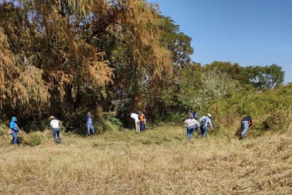 Hallan restos de 59 personas enterradas en fosas clandestinas en Guanajuato