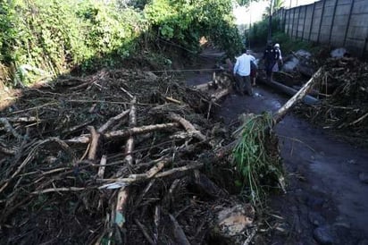 Sube a 8 los muertos por deslizamiento de tierra en el norte de El Salvador