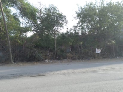 Sancionarán en Frontera a quien no limpie sus predios