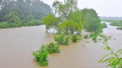 Sube a once número de muertes por paso de depresión tropical Eta en Honduras