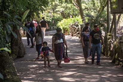 Registra Guatemala 28 muertes por COVID-19 en 24 horas