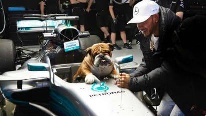 Hamilton y su perro Roscoe