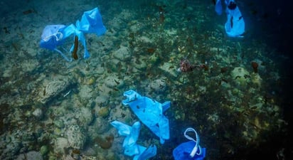 Invertir en agua y saneamiento es 'crítico' para salir de pandemia, dice OMS