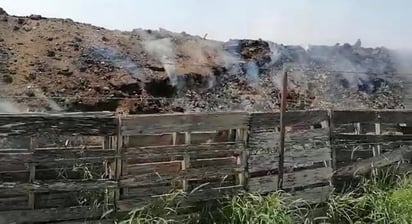 Se quejan vecinos del mal olor de animales en granja