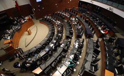 Los senadores de oposición no concuerdan con el presidente