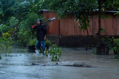 Huracanes Eta e Iota agravaron condición de animales de patio en Nicaragua