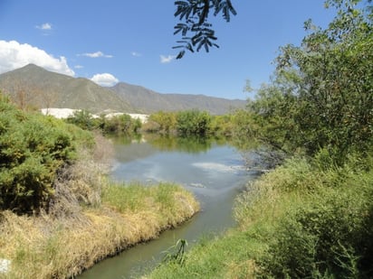 Despide drenaje fétidos olores en varias colonias de ciénegas