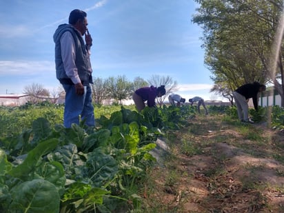 Roban herramientas de trabajo del CBTA 209