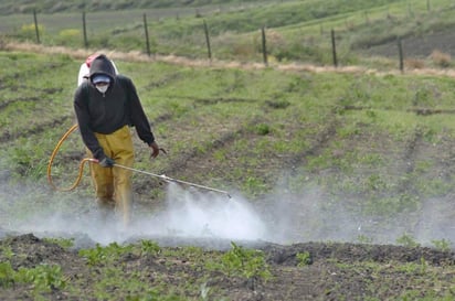 Dotarán de fertilizantes gratuitos a productores