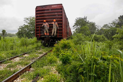 Sedena tendrá a cargo todo el proyecto del Tren Maya: Dispondrá de millonarios recursos para la operación y mantenimiento de los tres tramos