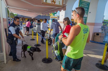 Se evitó la entrada de 21 plagas a México