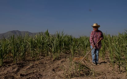 De mal en peor, así terminó el campo en 2020: Luis Ugarte