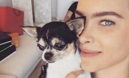 Belinda llora la muerte de su pequeño perro Gizmo