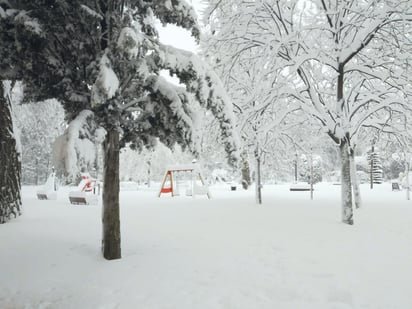 La nevada que al principio parecía divertida luego se convirtió peligrosa