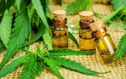 Entra en vigor uso medicinal de la marihuana