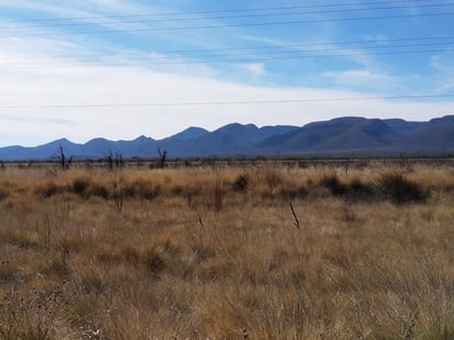 Lanzan productores de Nadadores grito de auxilio a la federación 