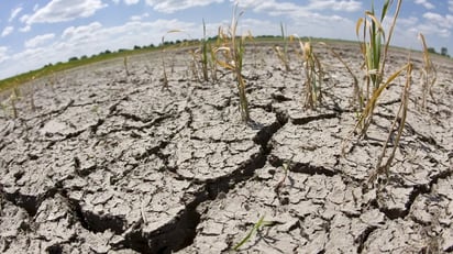 Científico NASA: efectos a largo plazo por calentamiento son 'imprevisibles'