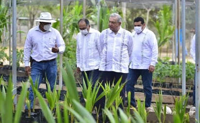 AMLO ofrece ampliar Sembrando Vida