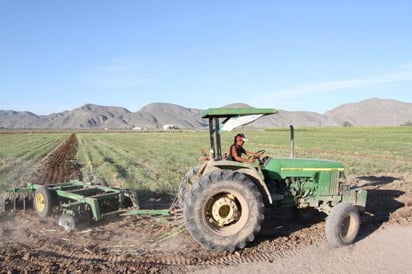 Sin recursos los productores para sembrar sus tierras