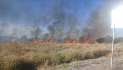 Arden 8 hectáreas de pastizal en ejido El Águila y San Isidro