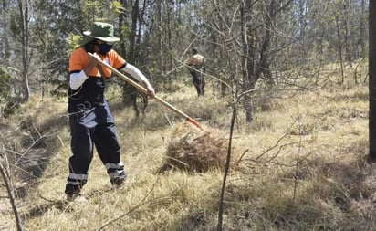 Limpieza del Cerro de la Estrella disminuye incendios