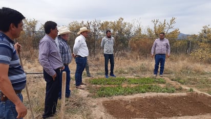 Harán producir los huertos familiares en San Buenaventura