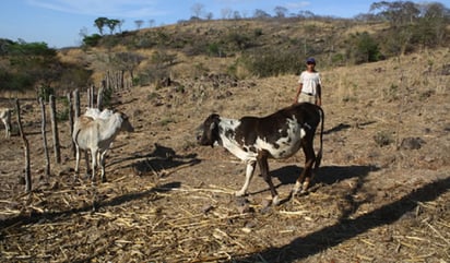 Apoyará el estado a 40 ejidos que carecen de falta de agua