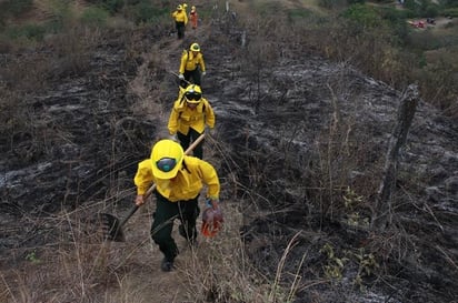 Incendio arrasa unas 3,000 hectáreas de parque natural del este de Colombia