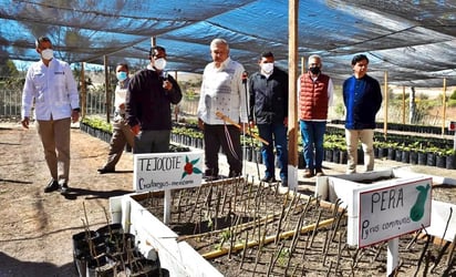 AMLO pide no desaprovechar programas sociales