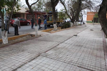 ‘Manita de gato’ a plaza pública 