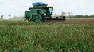 Los productores de soya ofrecen una tregua para levantar bloqueos en Bolivia