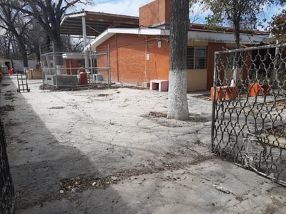 Escuelas de Nadadores abren sus puertas tras casi un año