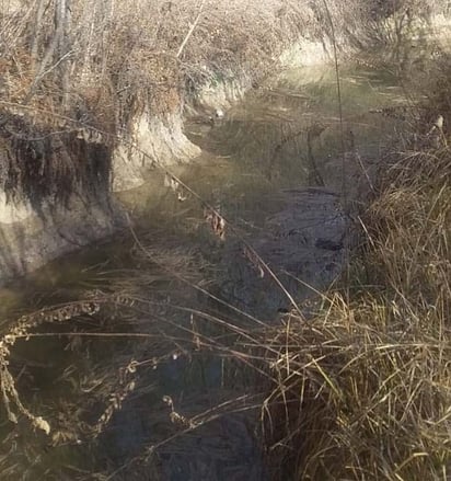 Estudio arrojará la falta  de agua en las 'Pompas'