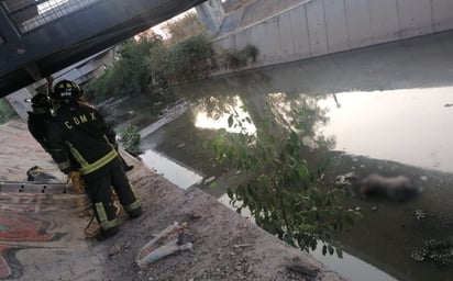 Hallan cadáver de una joven junto a canal de aguas negras en Hidalgo