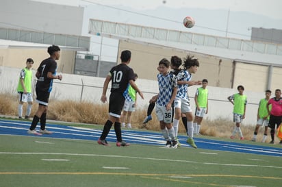 Alpha conquista la Juvenil C