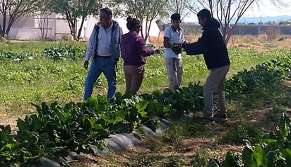 Regresan a los salones alumnos del CBTA 209 en San Buenaventura