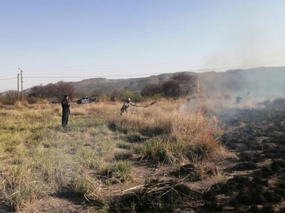 Consume incendio 20 hectáreas de pastizal 