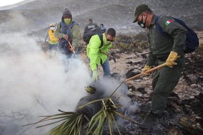 Son 200 las hectáreas afectadas por el fuego en Sierra de Zapalinamé