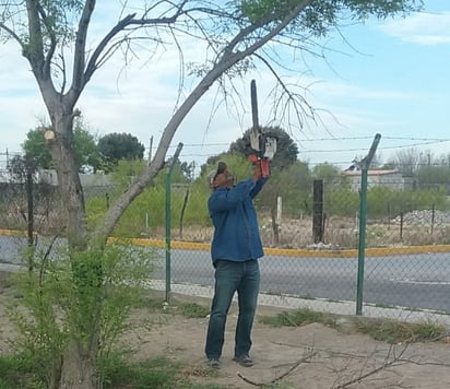 Reforestan la unidad deportiva