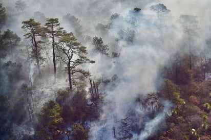 Confirman 5 involucrados en incendio de Arteaga 