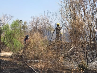 Incendio de carrizos asusta a vecinos en Monclova