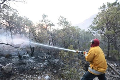 Brigada del ejido Jaboncillos asiste a  la Sierra de Arteaga